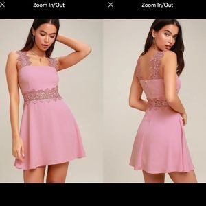 Visual Treat Mauve Lace Skater Dress M